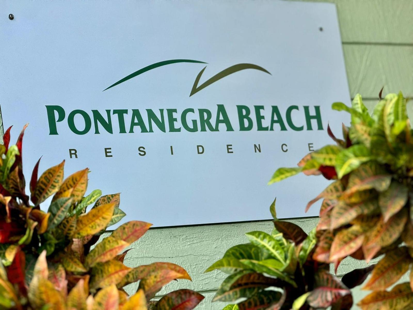 Edy Hospedagens Beira-Mar Flat 310 Com Vista Para O Morro Do Careca, Piscina E Localizacao Privilegiada Натал Экстерьер фото